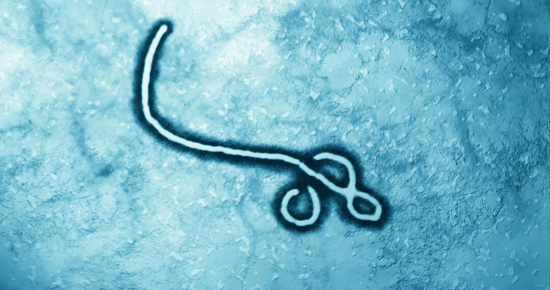 Unveiling the Biomechanics of Ebola: A Revolutionary Approach to Understanding Viral Adhesion