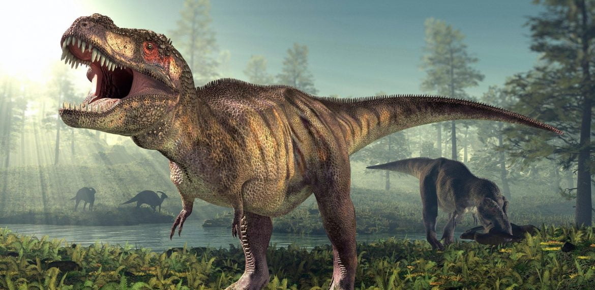 T. rex’s short arms may have lowered risk of bites during feeding frenzies