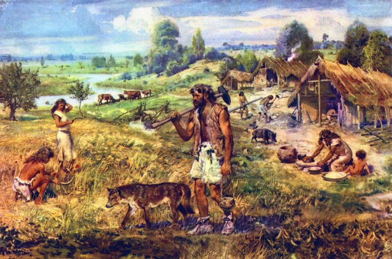 Neolithic made us taller and more intelligent but more prone to heart disease