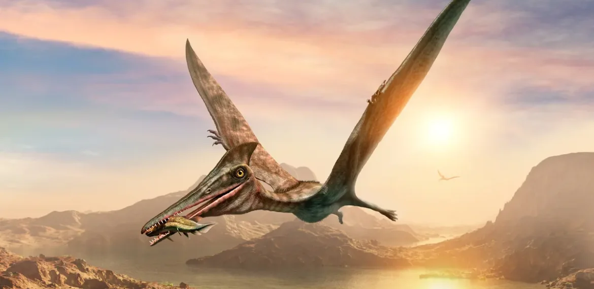 New Winged Dinosaur Unearthed on Scotland’s Isle of Skye